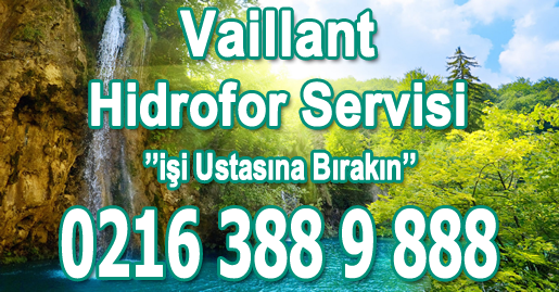 Tuzla Vaillant Hidrofor Servisi
