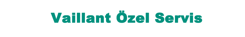 Özel Tuzla Vaillant Servisi