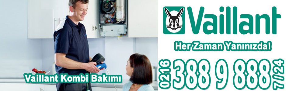 Tuzla Vaillant Kombi Servisi