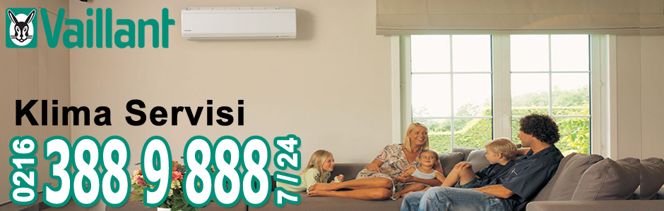 Tuzla Vaillant Klima Servisi